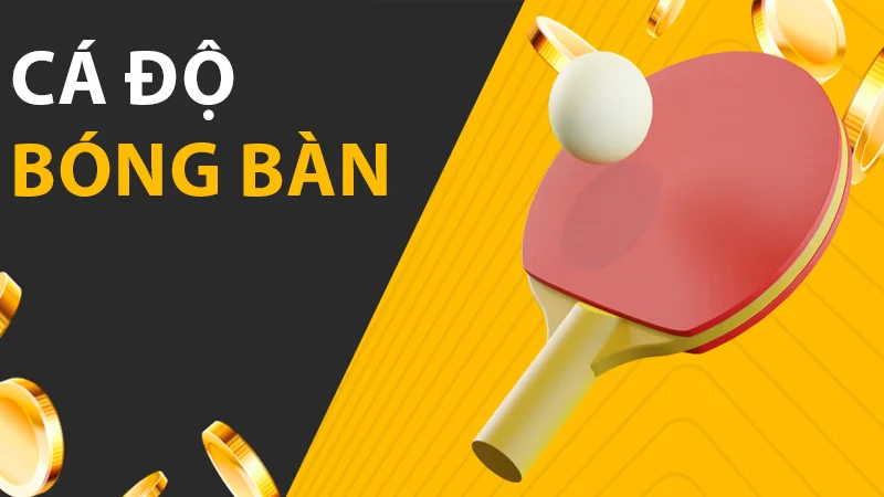 Cá cược bóng bàn đầy thú vị, hấp dẫn